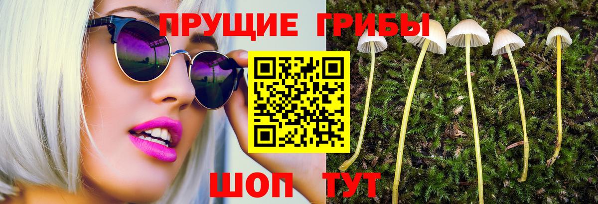 Янаул  Галлюциногенные грибы прущие грибы  Вход с VPN  Псилоцибиновые грибы мицелий 